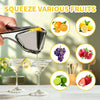 Arel Stainless Steel Citrus Juicer