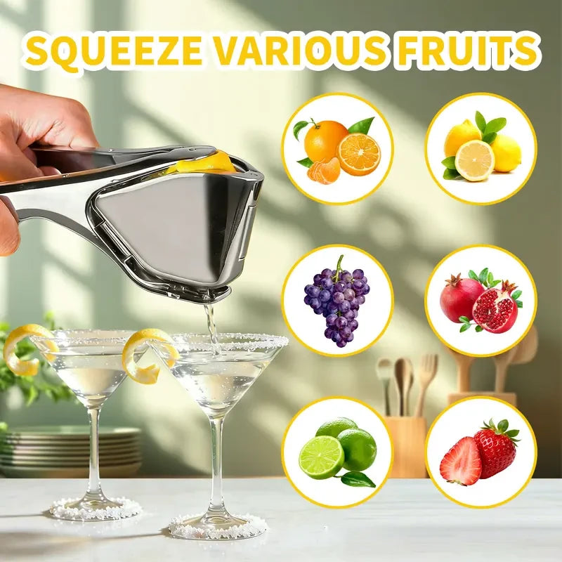 Arel Stainless Steel Citrus Juicer