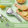Arel Stainless Steel Citrus Juicer
