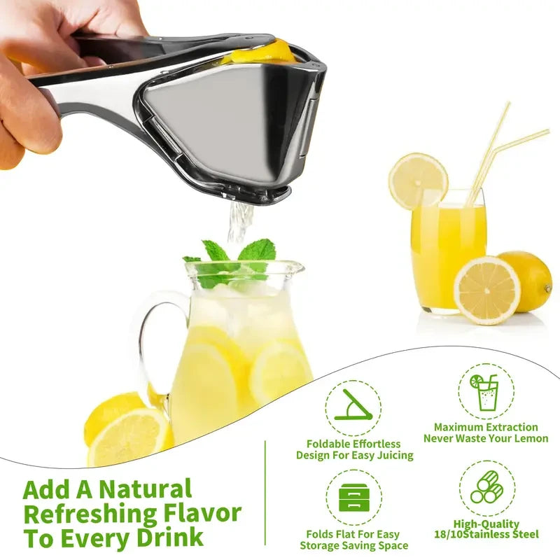 Arel Stainless Steel Citrus Juicer
