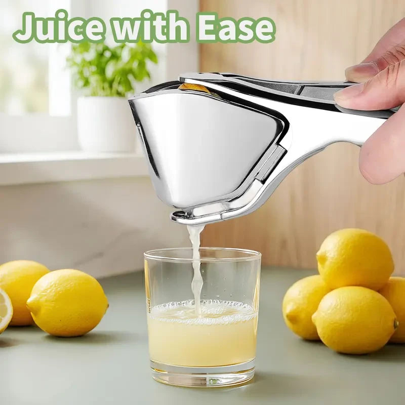 Arel Stainless Steel Citrus Juicer