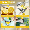Arel Stainless Steel Citrus Juicer