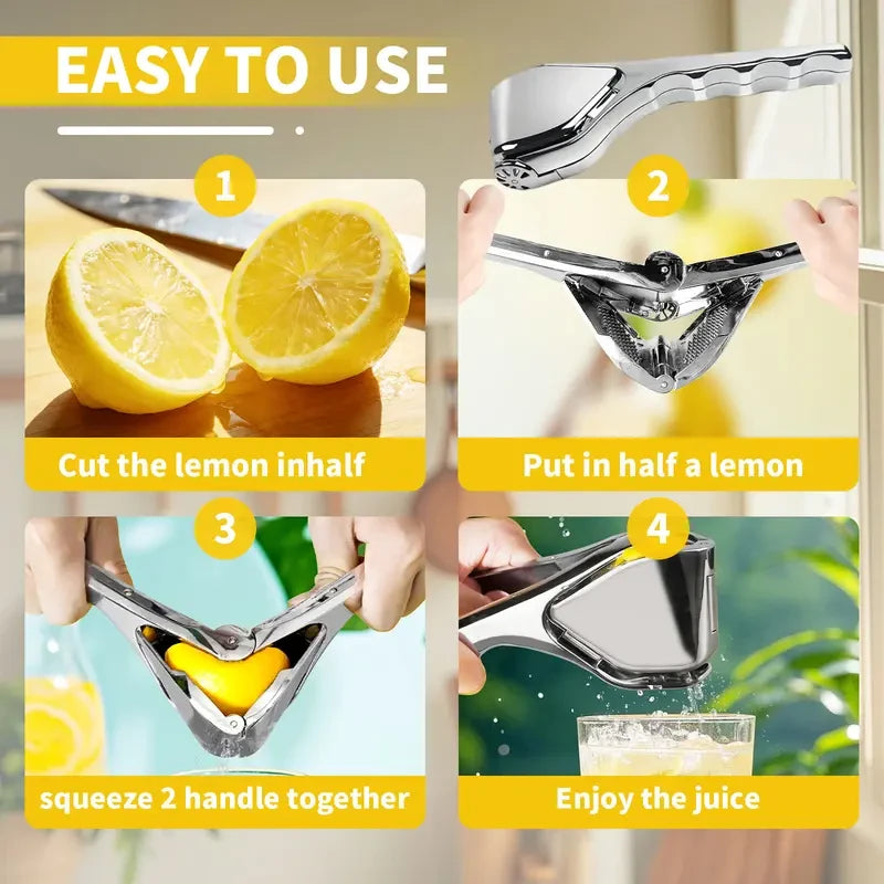 Arel Stainless Steel Citrus Juicer