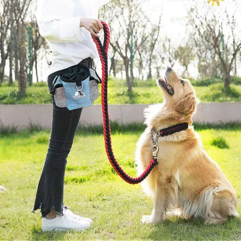 Dog Treat Pouch for Walking