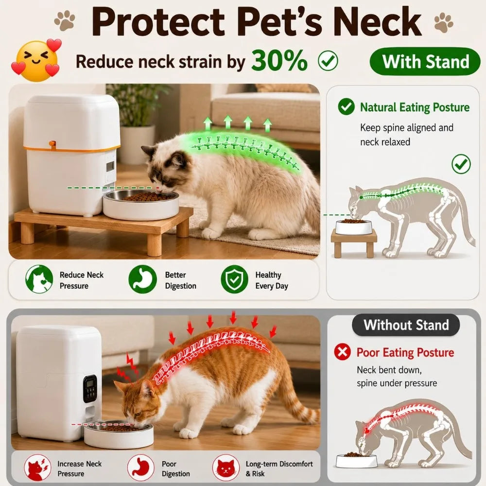 Elevated Cat Food Bowl Stand