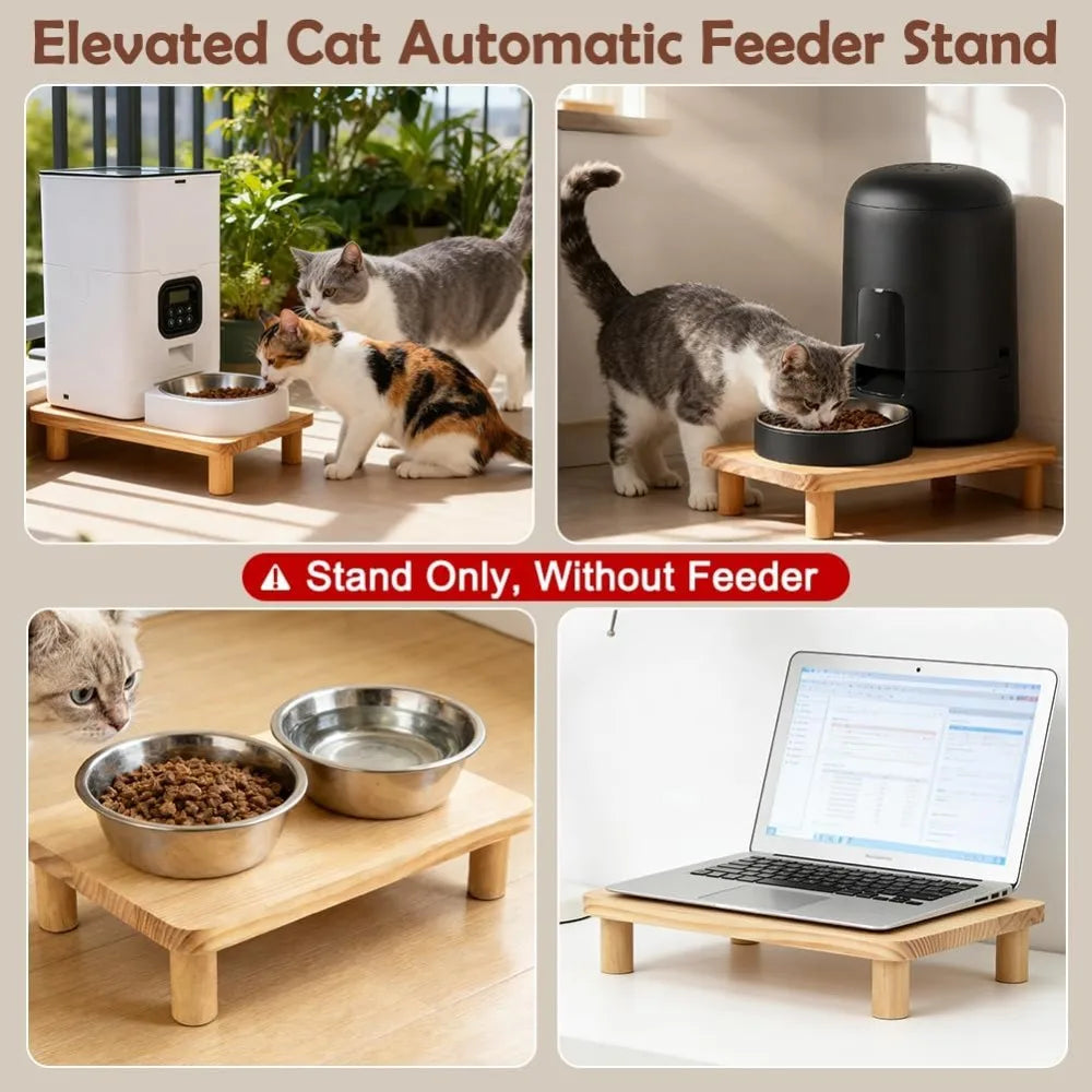 Elevated Cat Food Bowl Stand