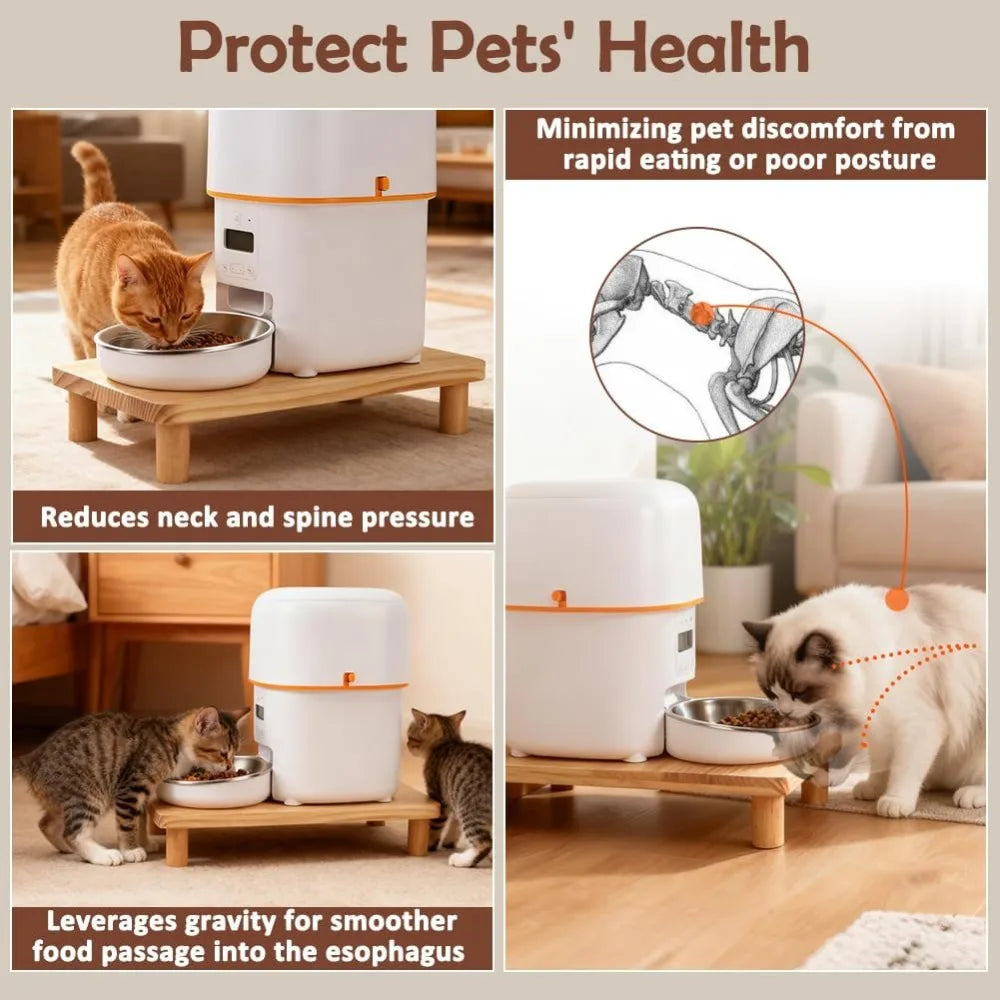 Elevated Cat Food Bowl Stand