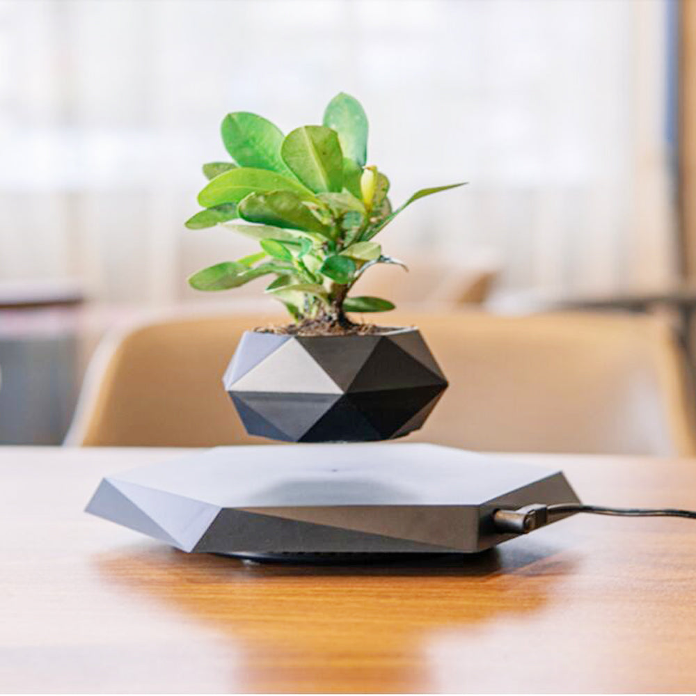 Magnetic Levitating Rotating Plant Pot