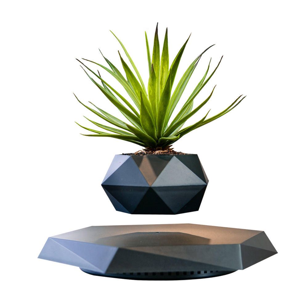 Magnetic Levitating Rotating Plant Pot
