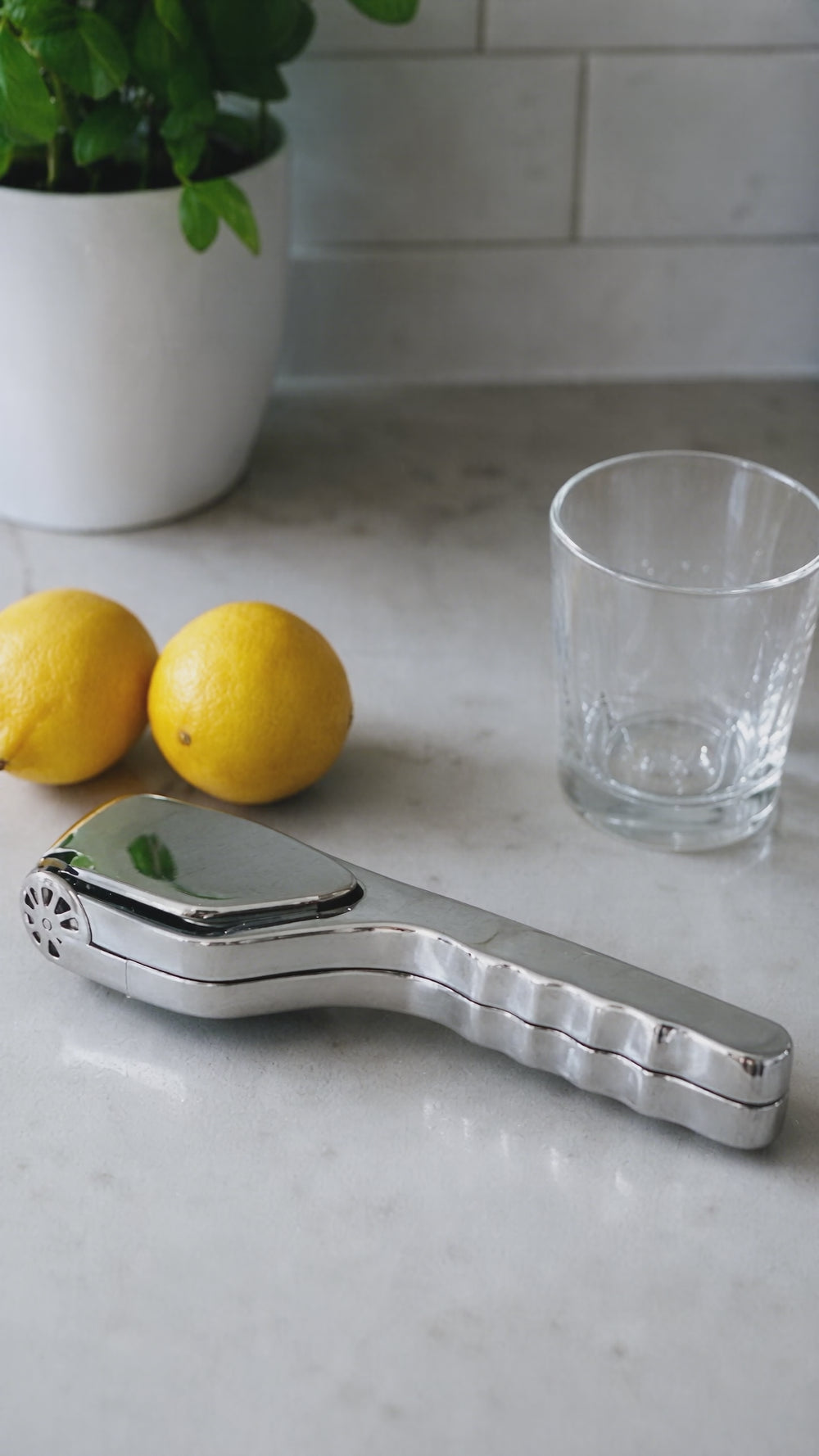 Arel stainless steel citrus juicer demo video